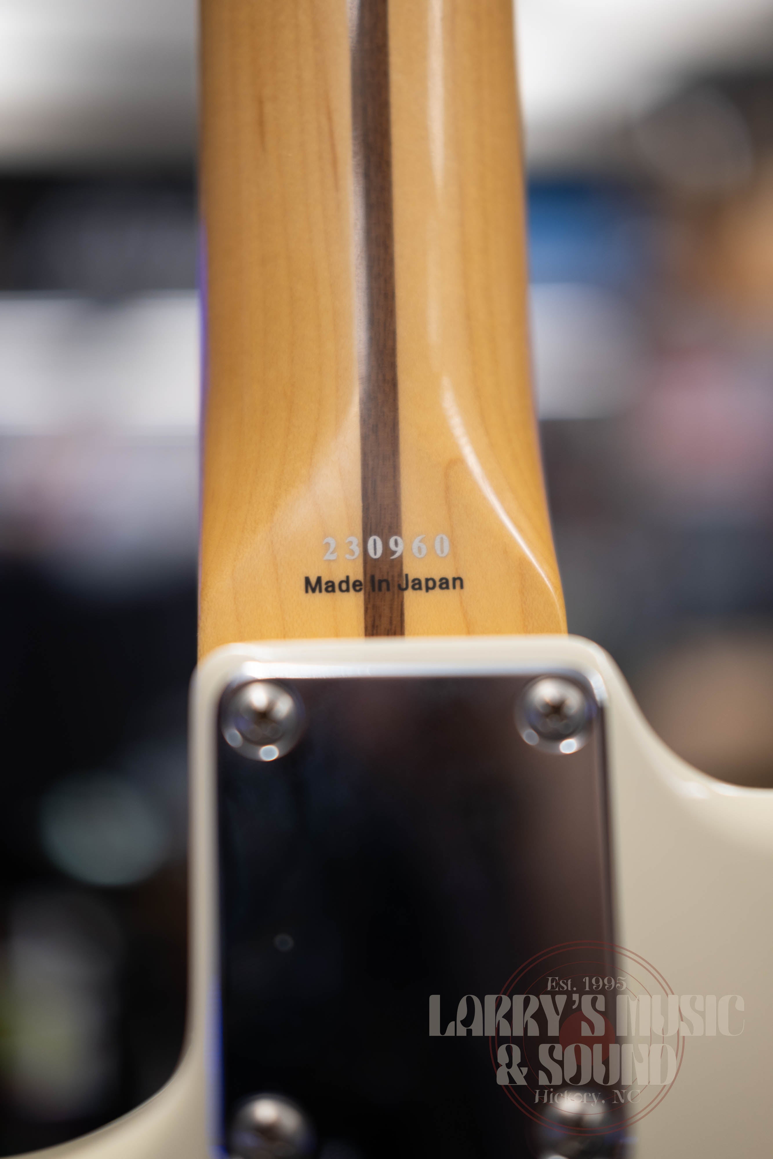 Tokai Goldstar Sound - USED – Larry's Music & Sound