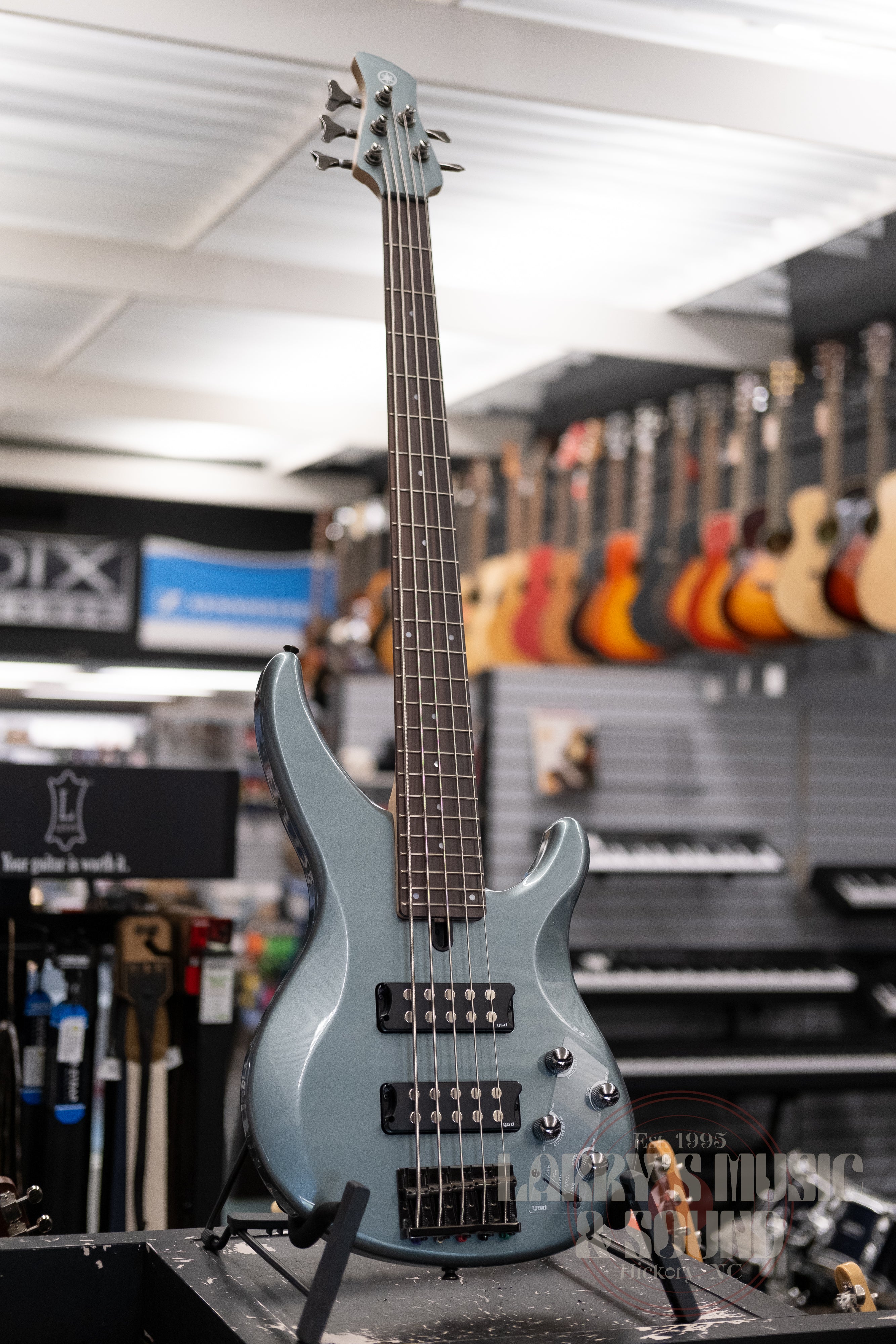 Yamaha TRBX-505 5-String Bass Guitar- Mist Green – Larry's Music