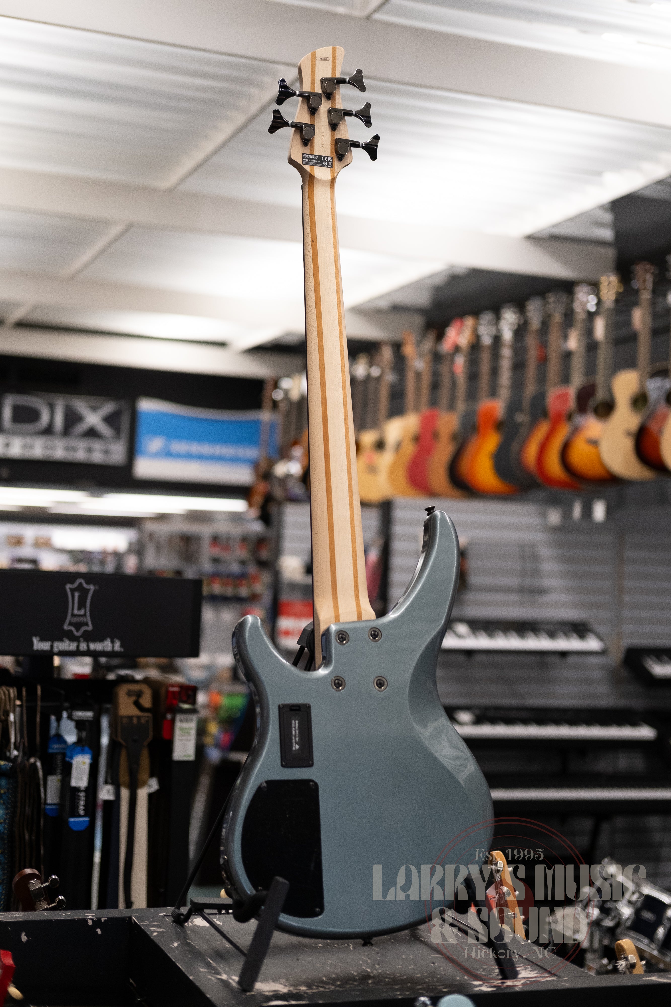 Yamaha TRBX-505 5-String Bass Guitar- Mist Green – Larry's Music