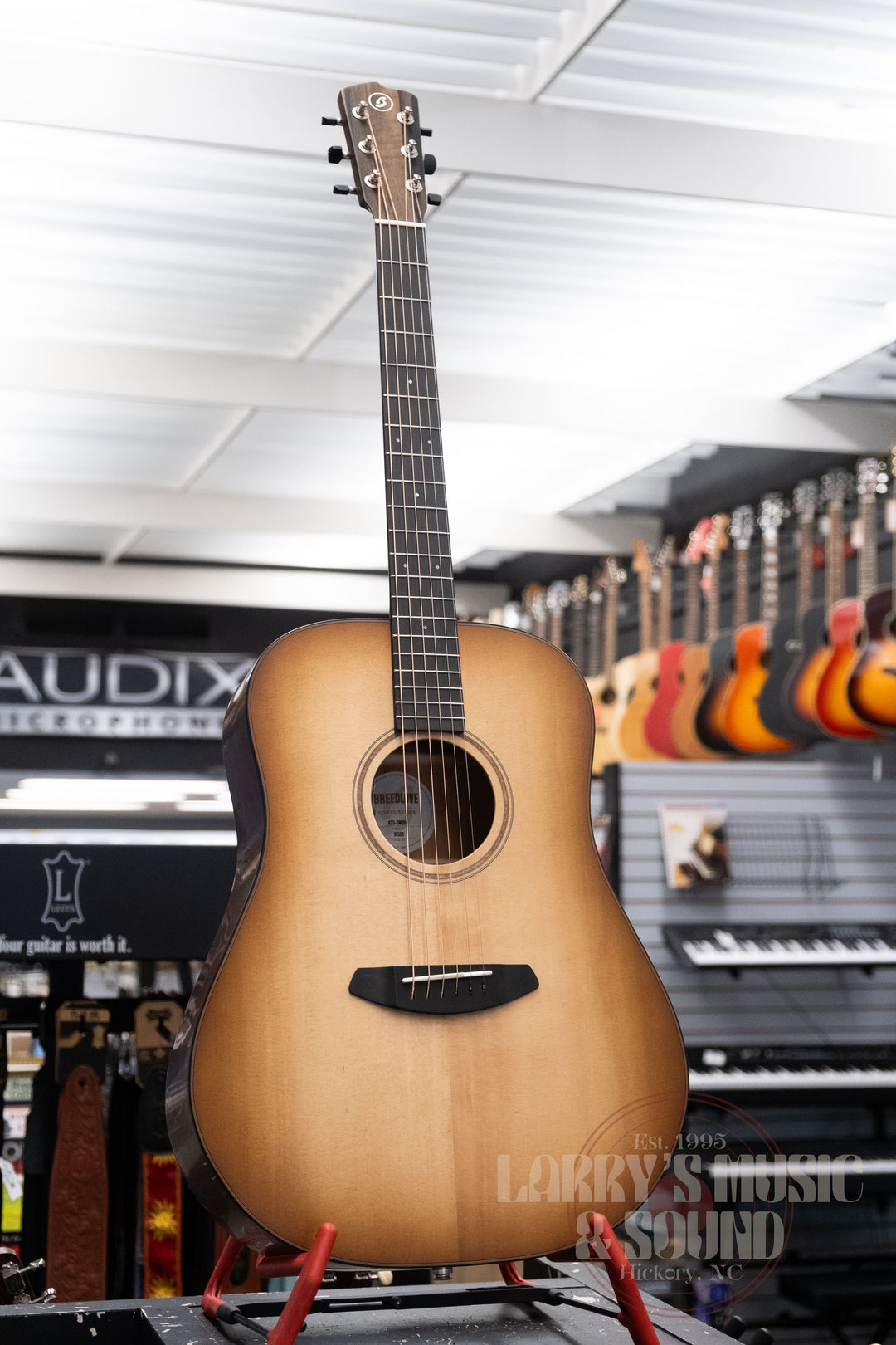 Breedlove Roots Dreadnought RTD-SMEDe - Edgeburst
