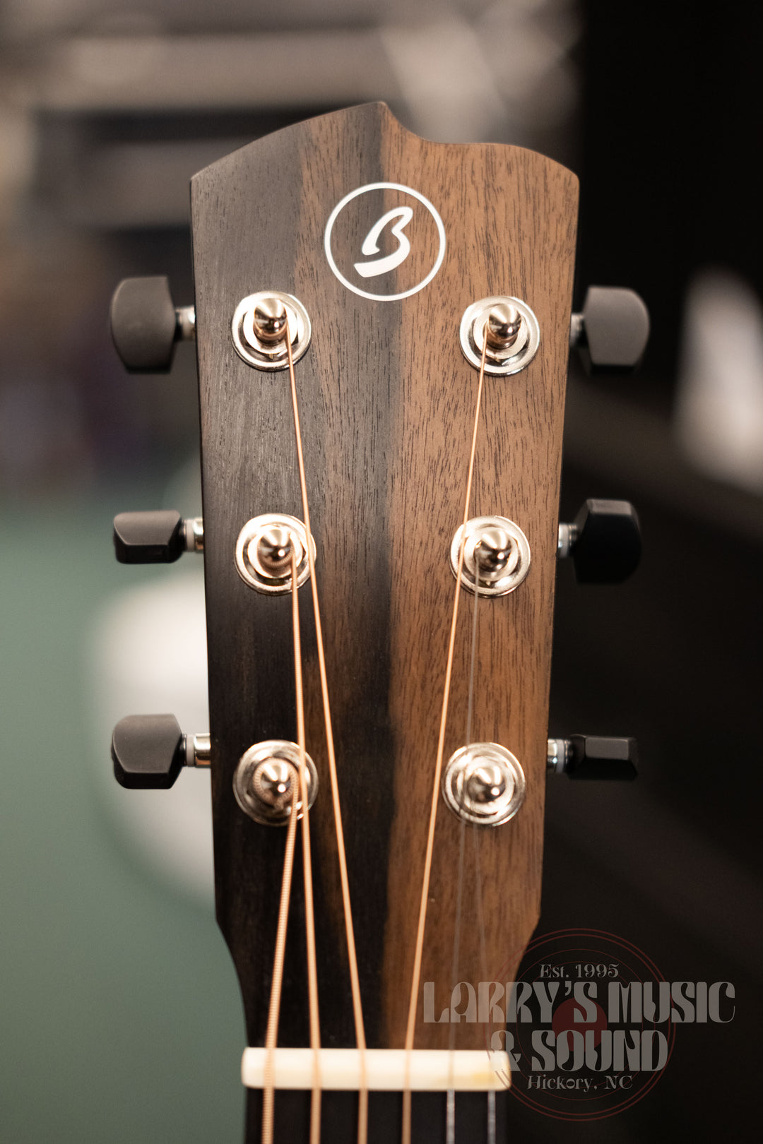 Breedlove Roots Dreadnought SRe