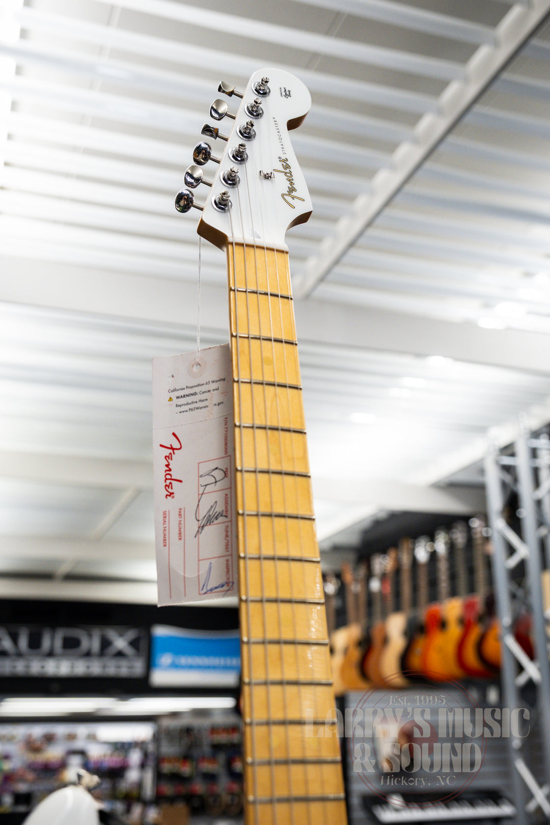 Fender Limited Edition Player II Strat - Polar White