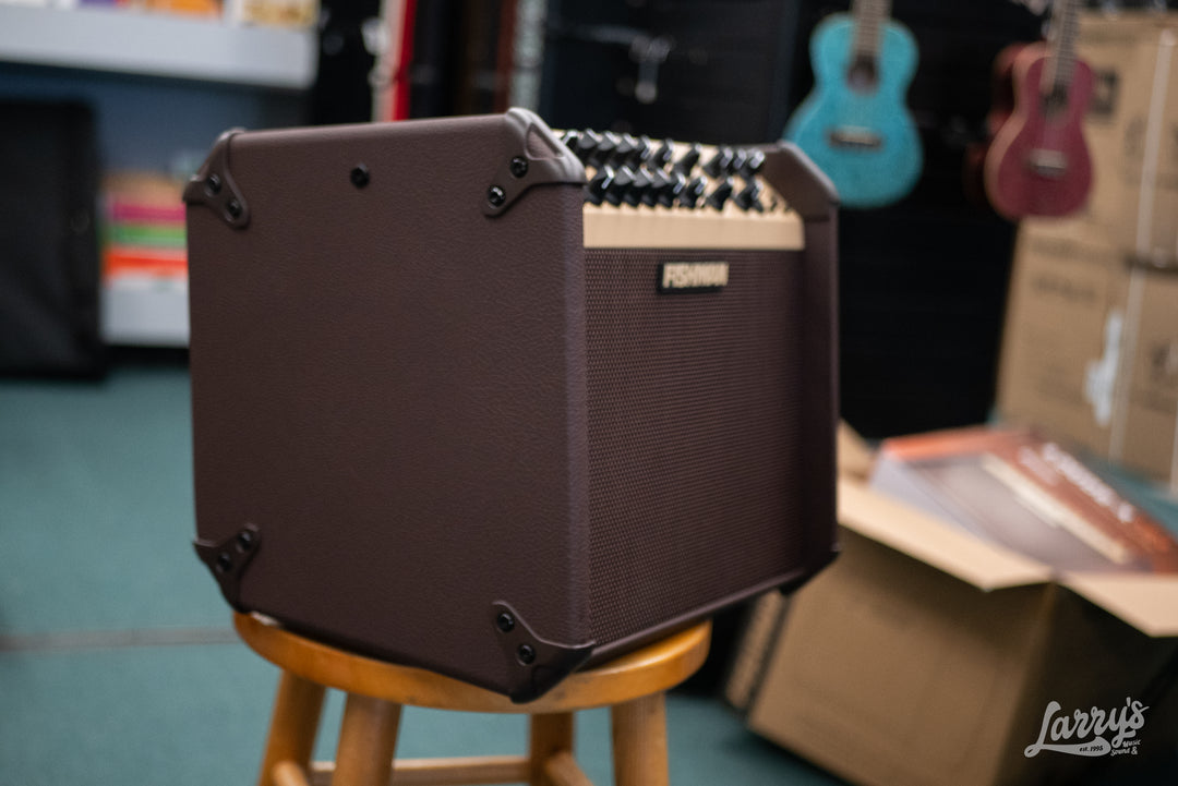 Fishman Loudbox Artist Acoustic Guitar Amp w/ Bluetooth – Larry's Music ...