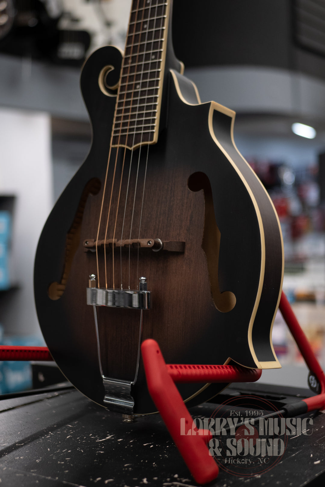 GoldTone F-6 F-Style Mando-Guitar with Pickup