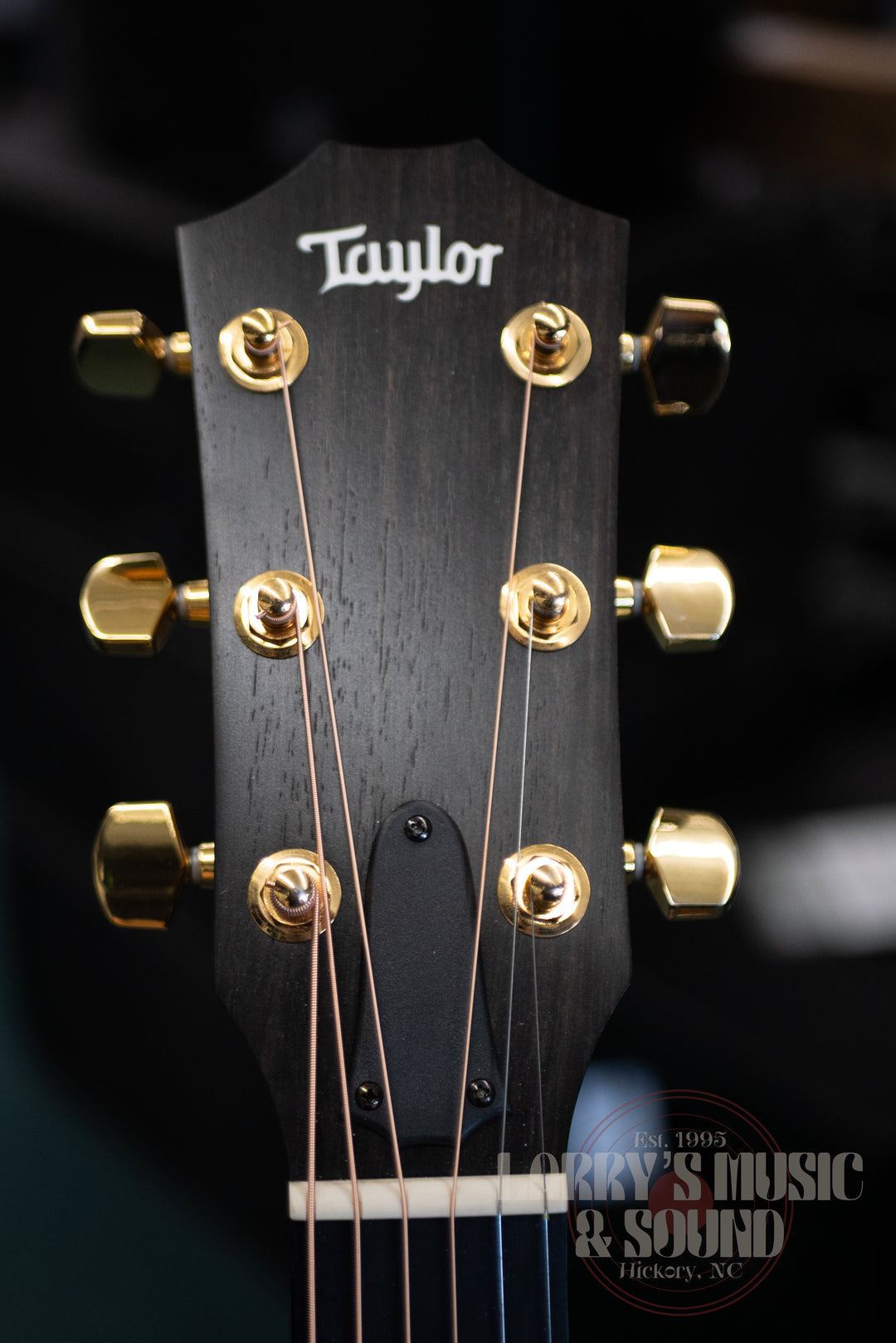 Taylor 214CE Limited Edition Ziricote - USED