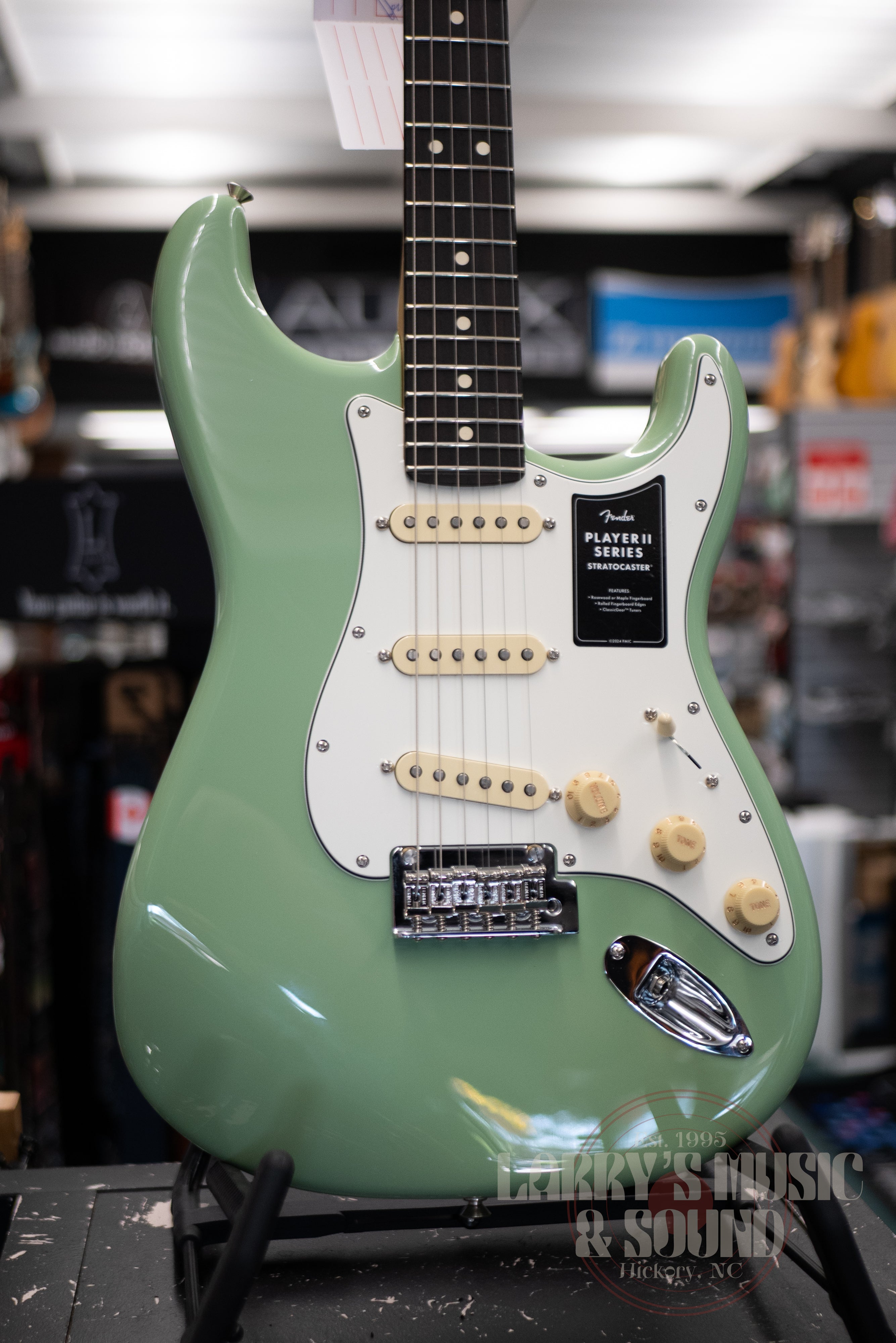 Fender Player II Stratocaster - Birch Green – Larry's Music