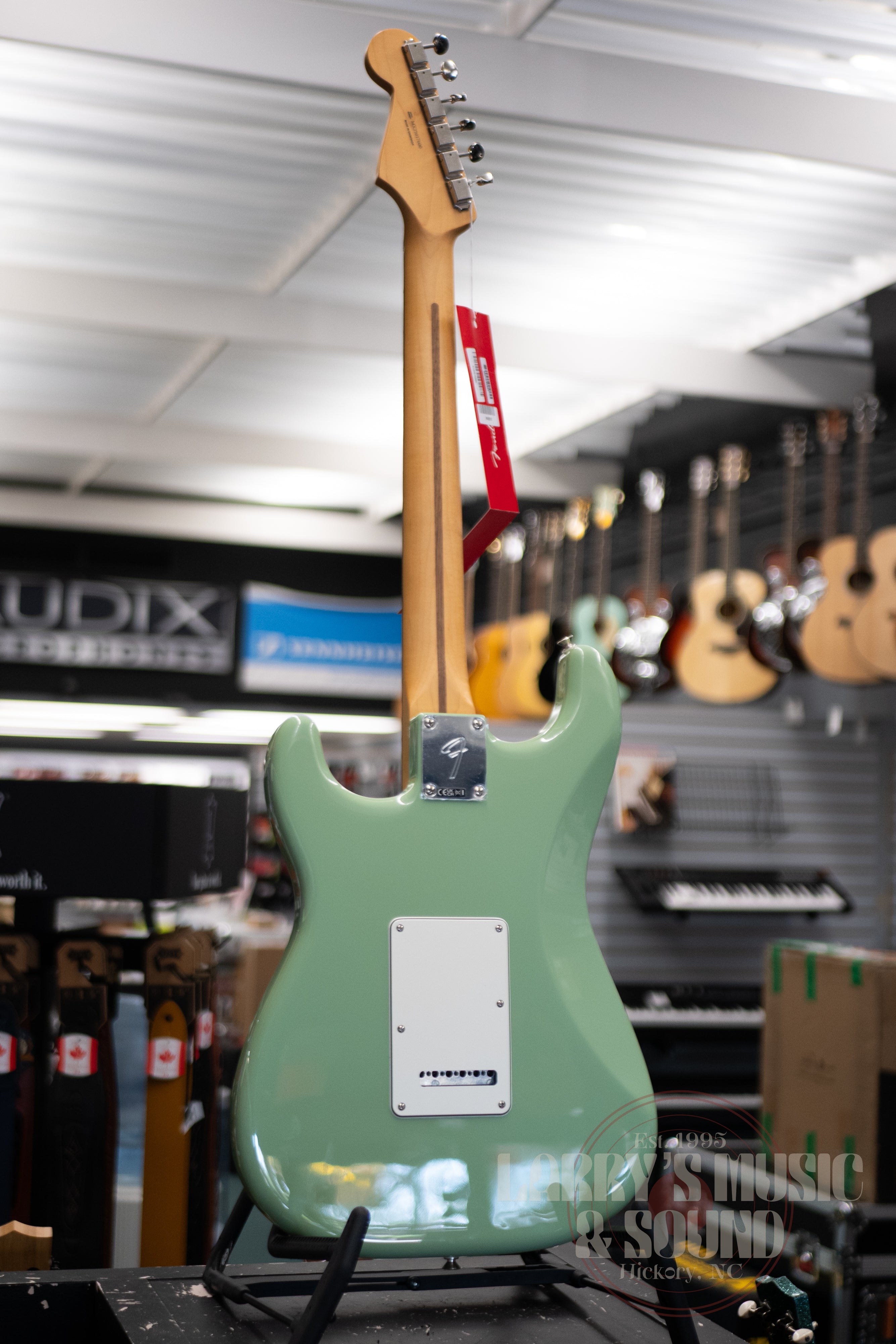 Fender Player II Stratocaster - Birch Green – Larry's Music