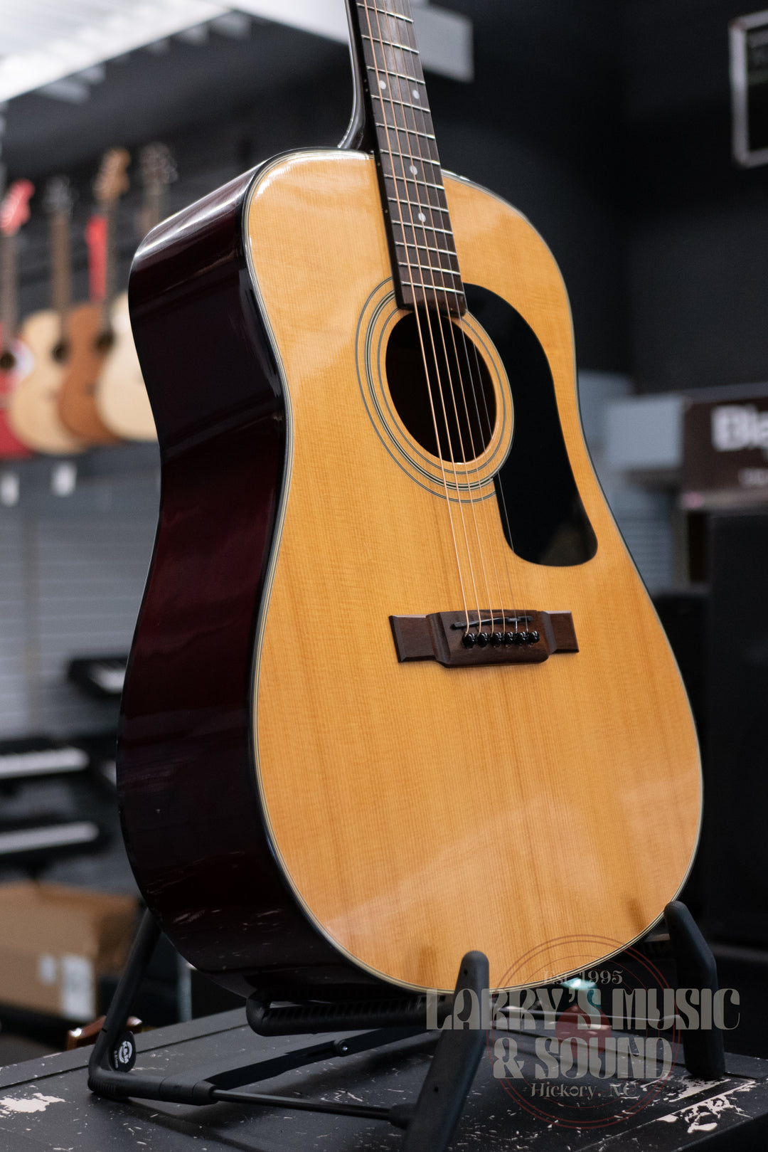 Washburn Acoustic D10 - USED