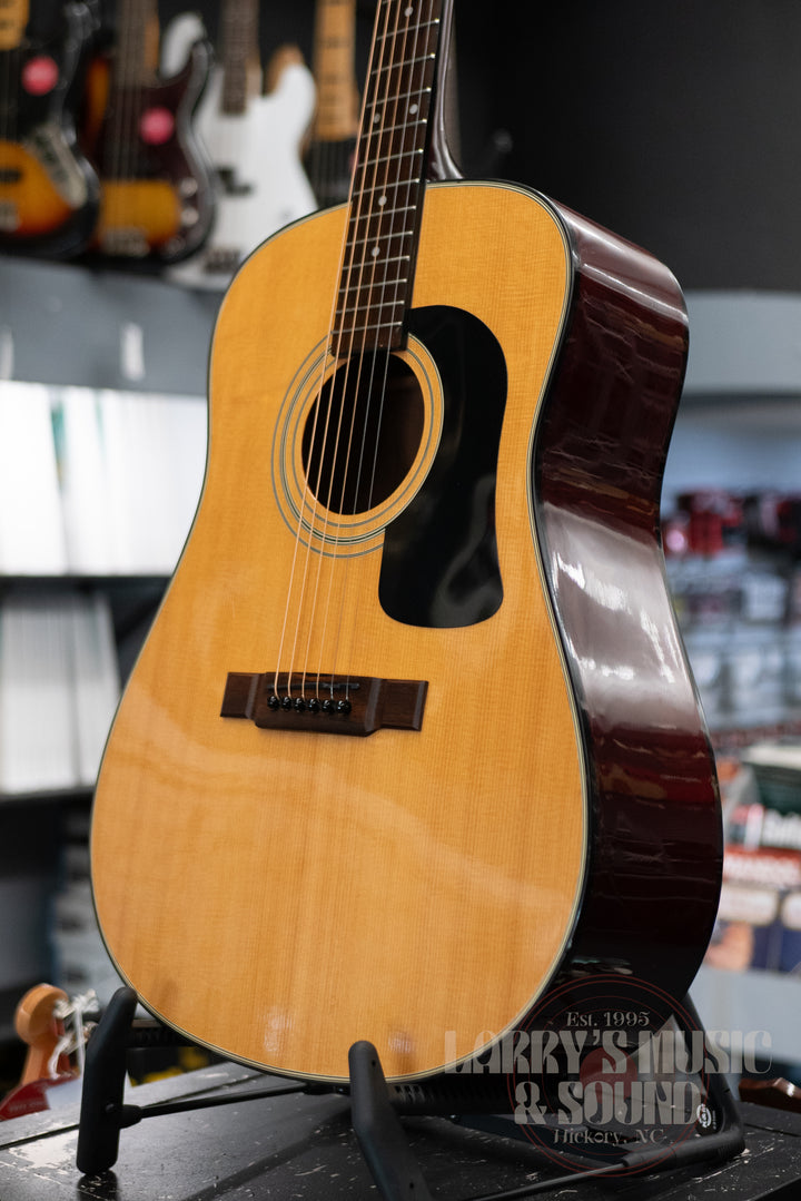 Washburn Acoustic D10 - USED