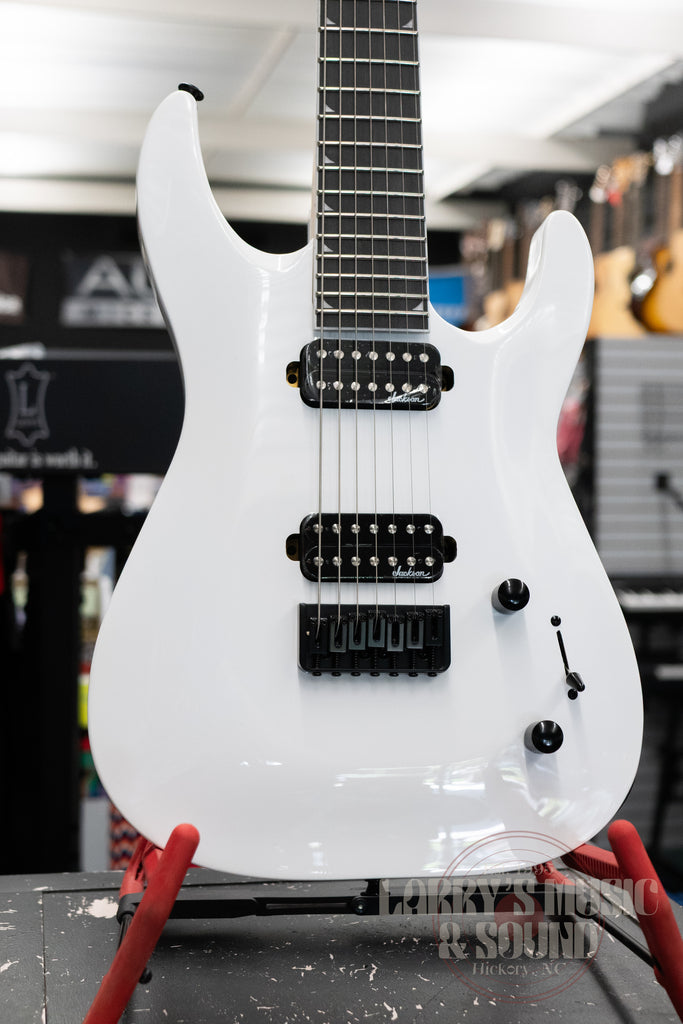 P1100455-2_1024x1024.jpg?v=