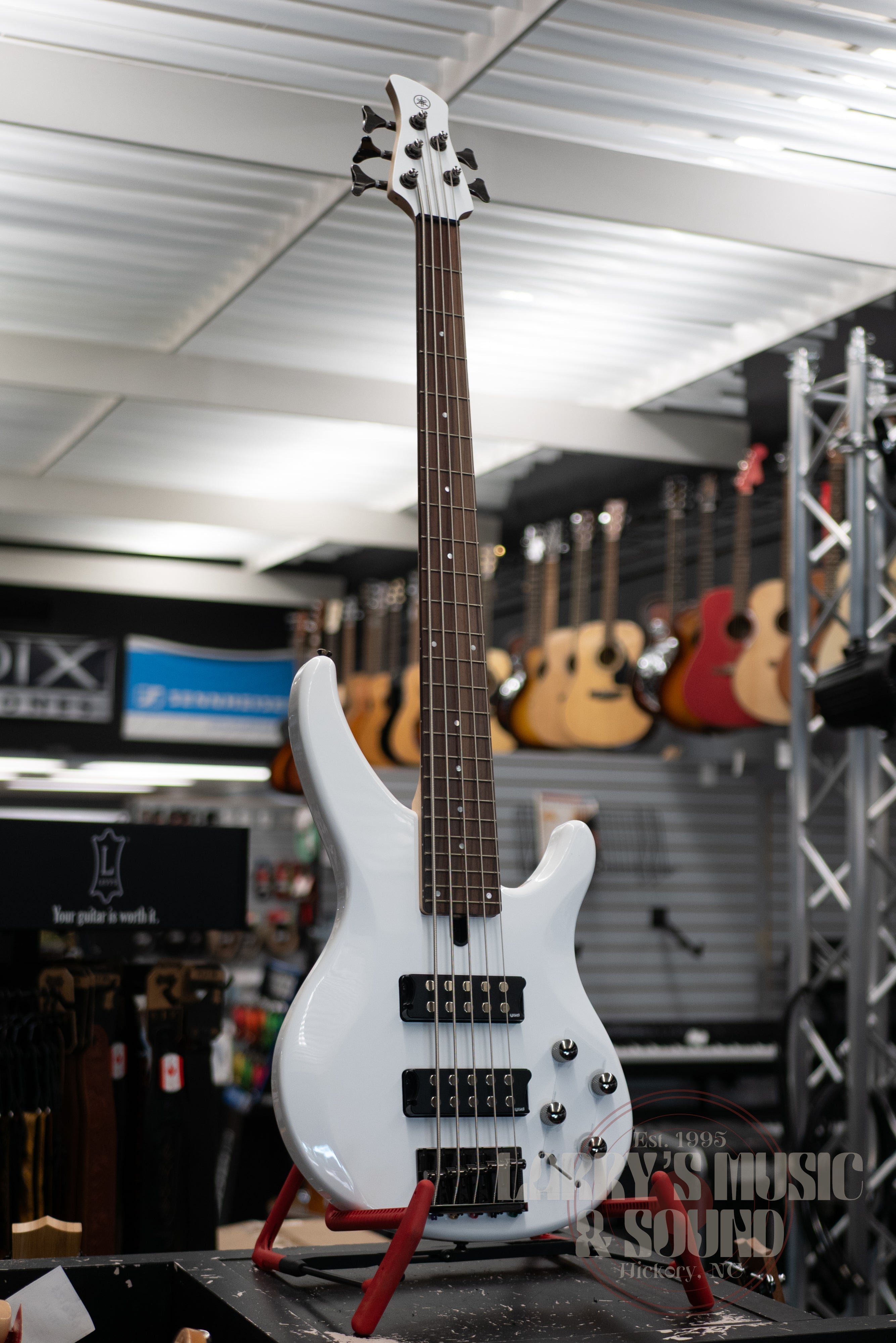 Yamaha TRBX-305 5-String Bass Guitar - White – Larry's Music & Sound