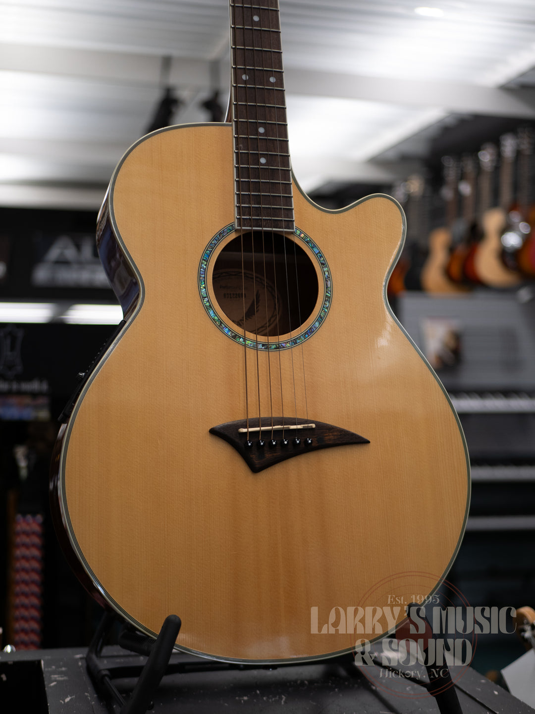 Dean Performer C Acoustic/Electric with Case - USED