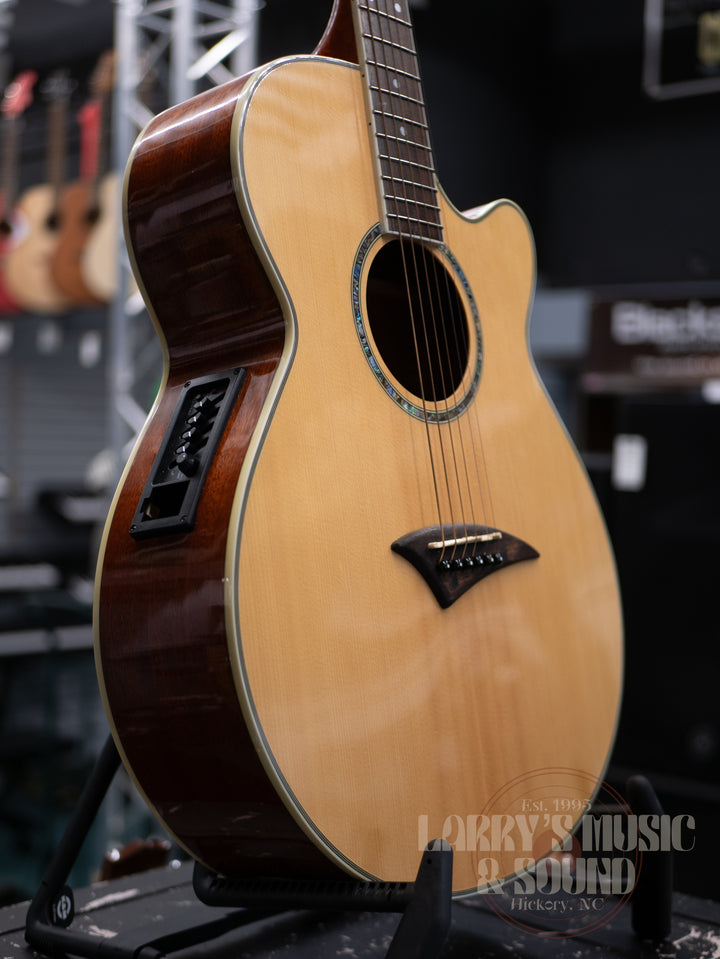 Dean Performer C Acoustic/Electric with Case - USED