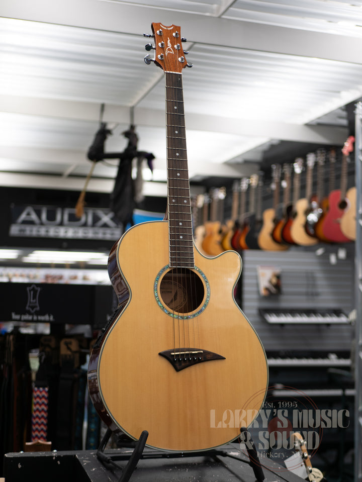 Dean Performer C Acoustic/Electric with Case - USED