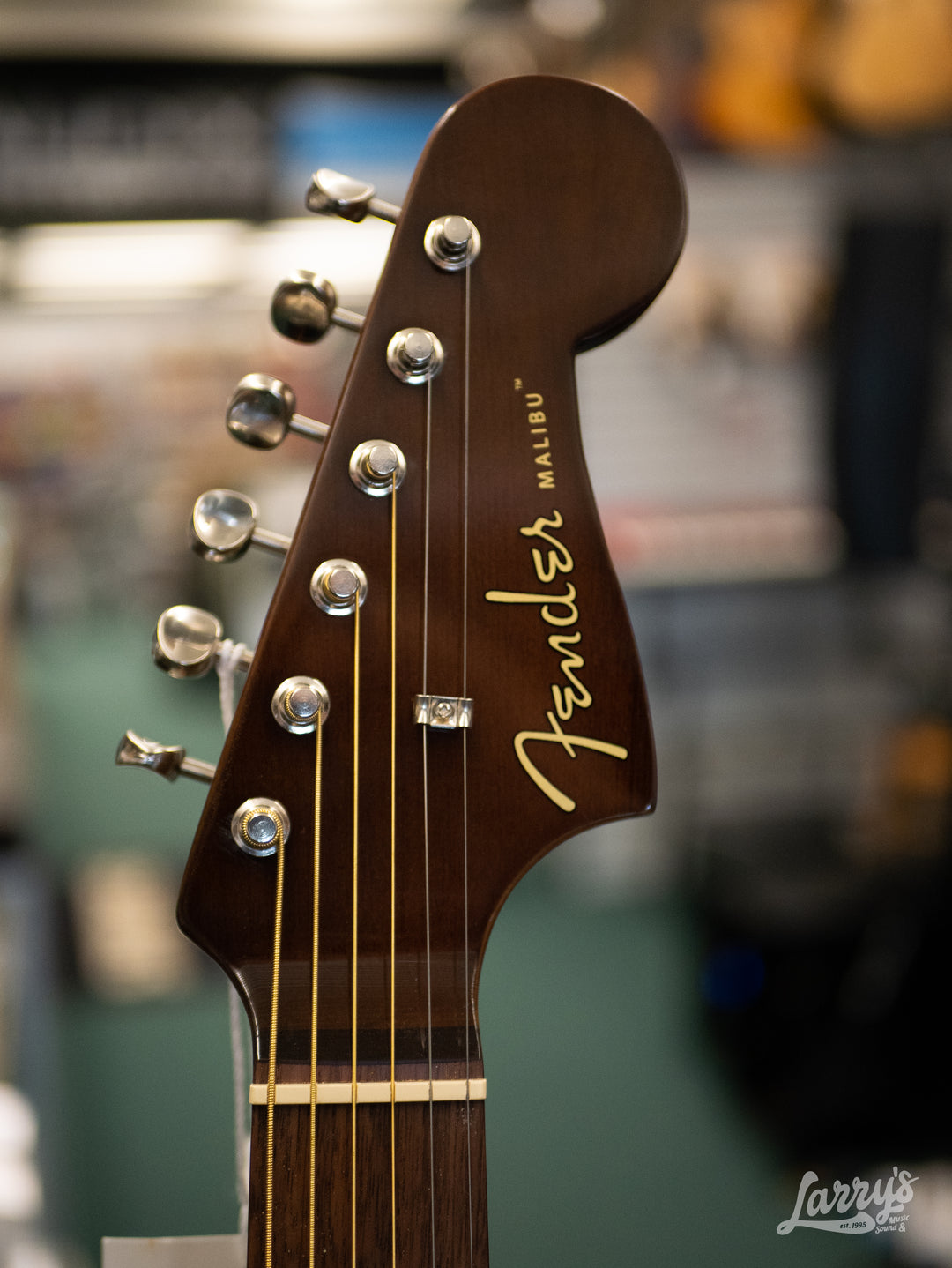 Fender Malibu Player - Natural